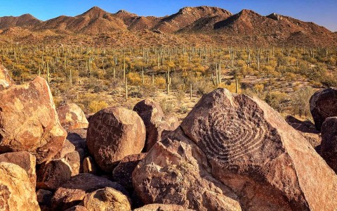 Honey Bee Canyon